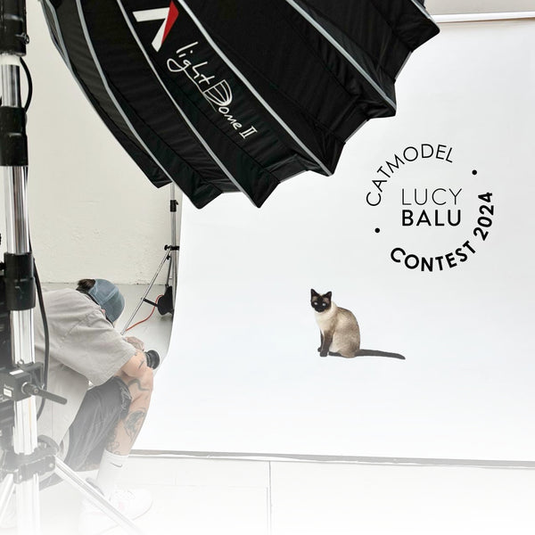 LUCYBALU STARTET DEN CATMODEL CONTEST 2024