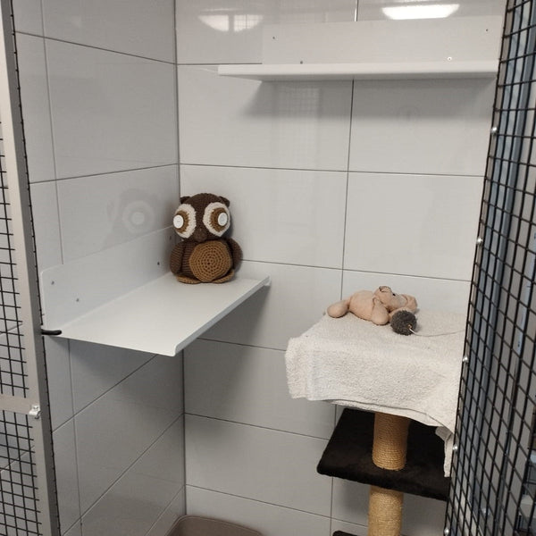 Notre collaboration avec l'association de protection des animaux d'Überlingen