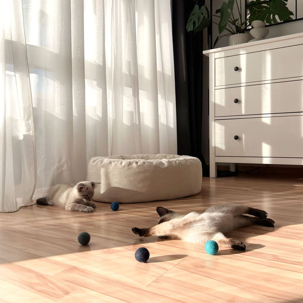 Ocean Vibes – Das perfekte nachhaltige Katzenspielzeug