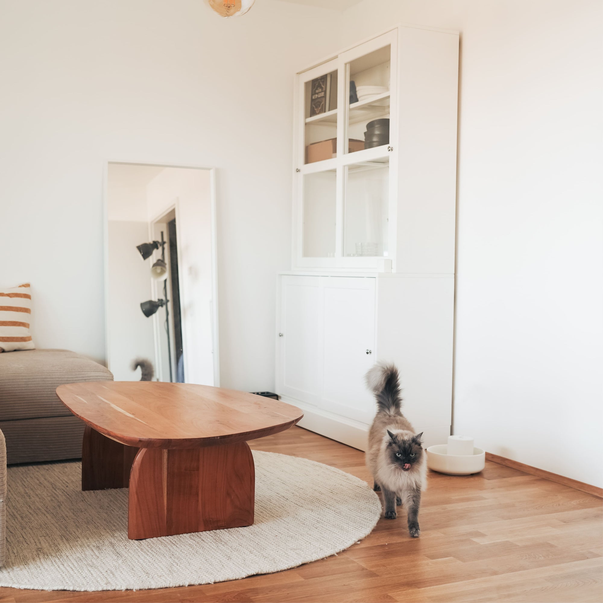 Katzen und Hitze: So bleibt dein Stubentiger cool im Sommer