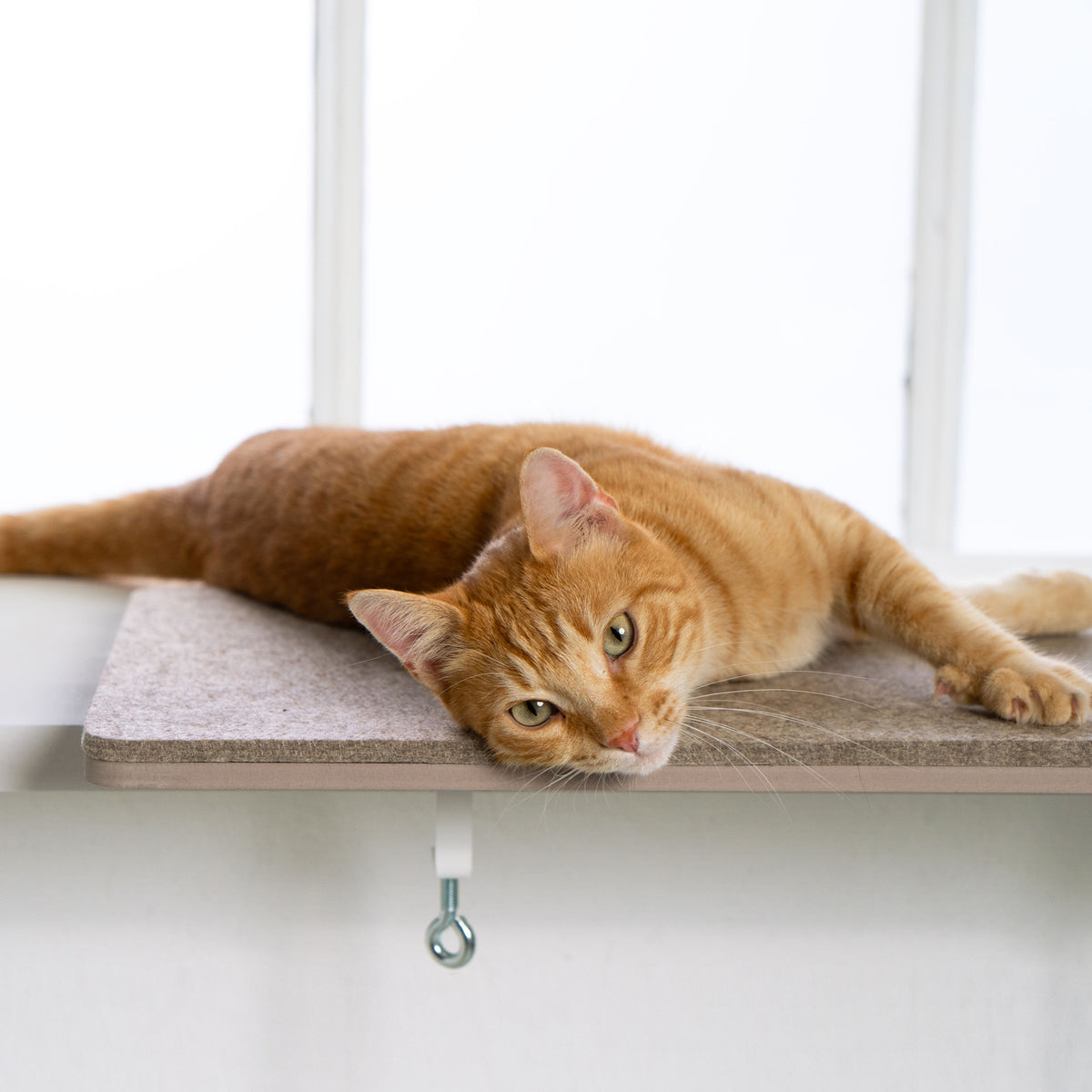 VIEW Cat Window Perch