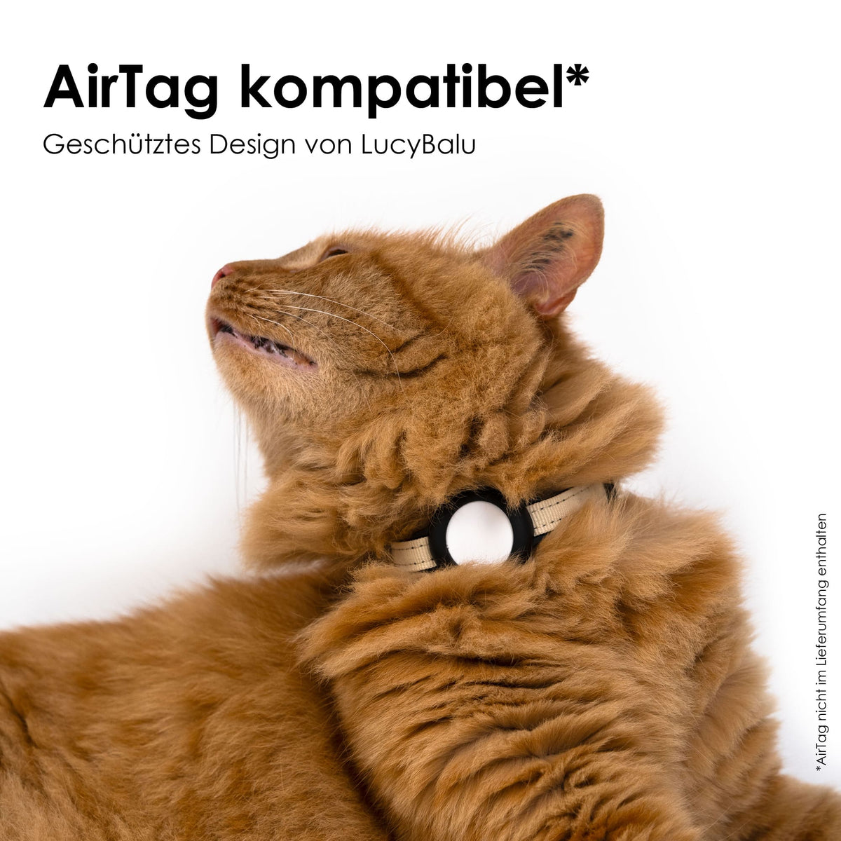 Airtag Katzenhalsband