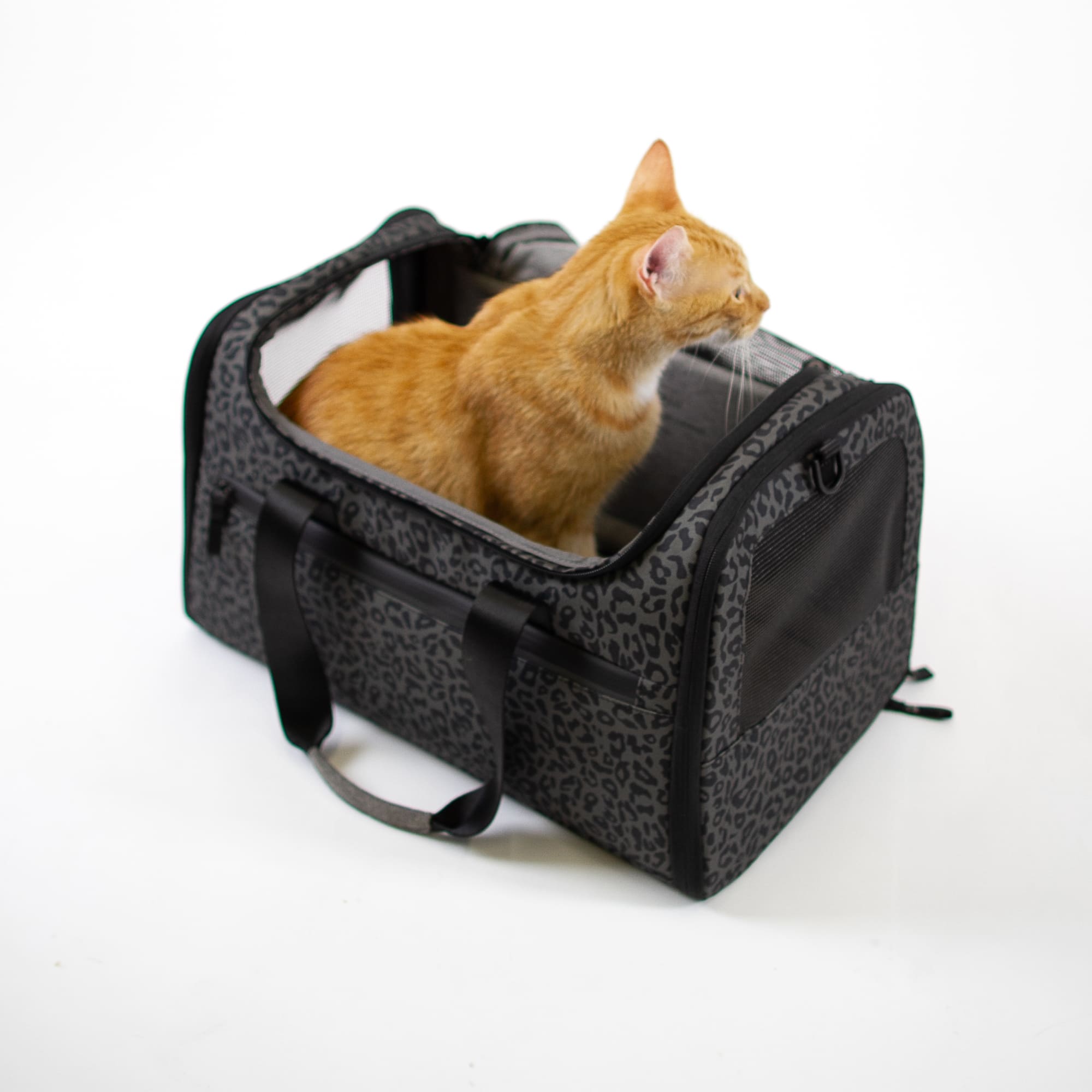 CHECK-IN Cat carrier bag