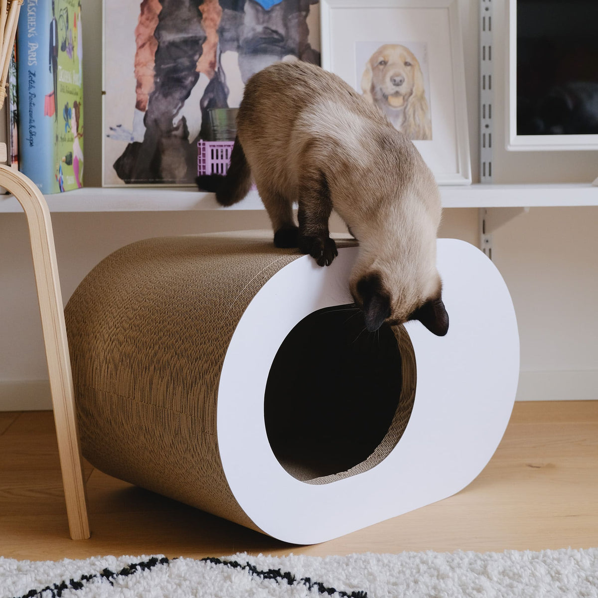 PAPERCAVE Cat cave