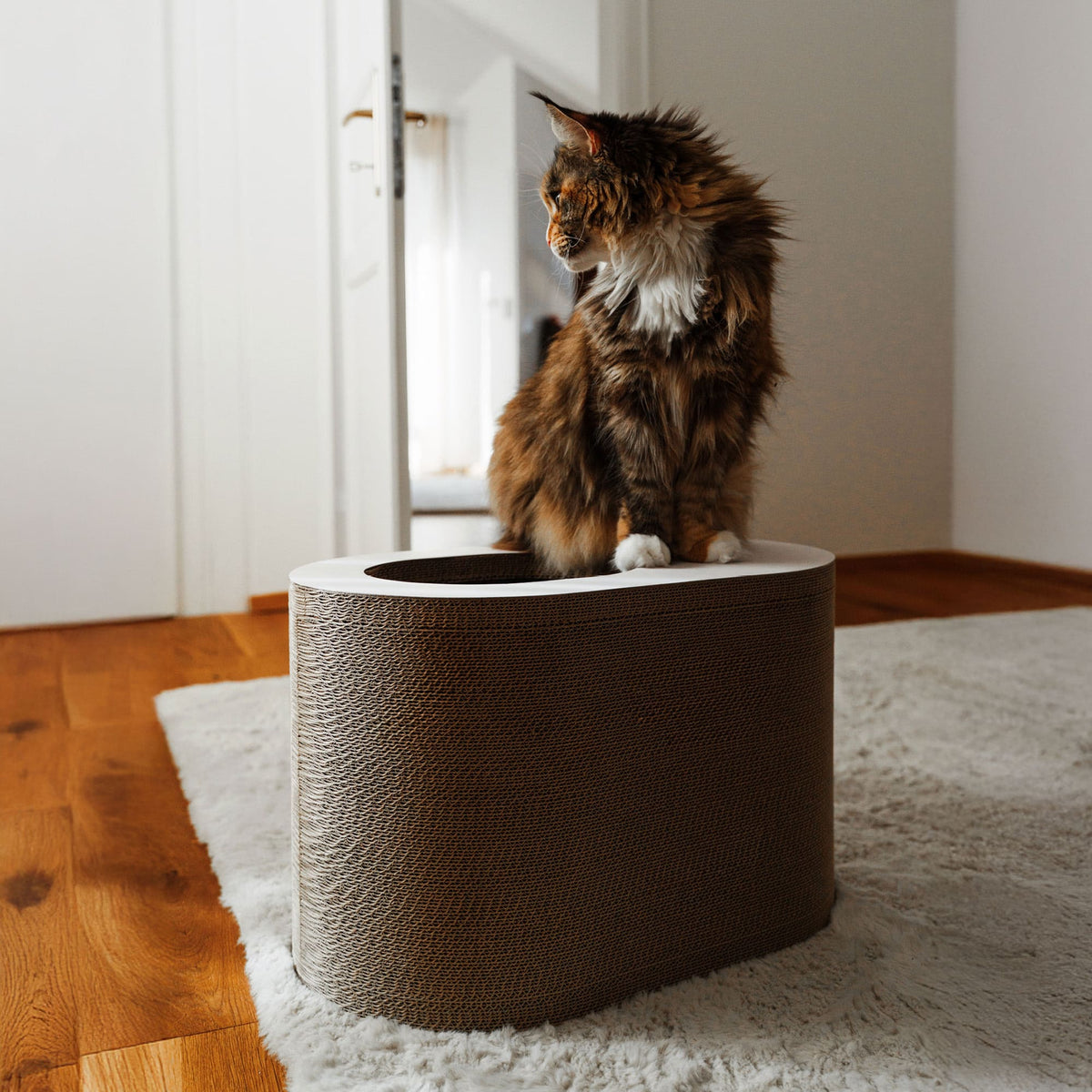 PAPERCAVE Cat cave