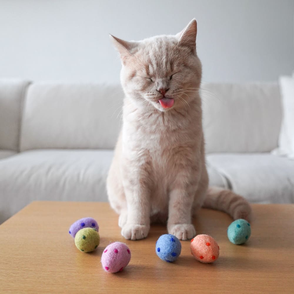 RAINBOW EGGS Katzenbälle