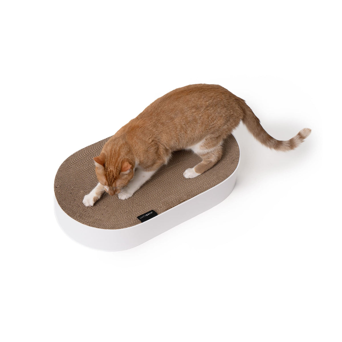 SCRATCHBED - Designer Cardboard Bed