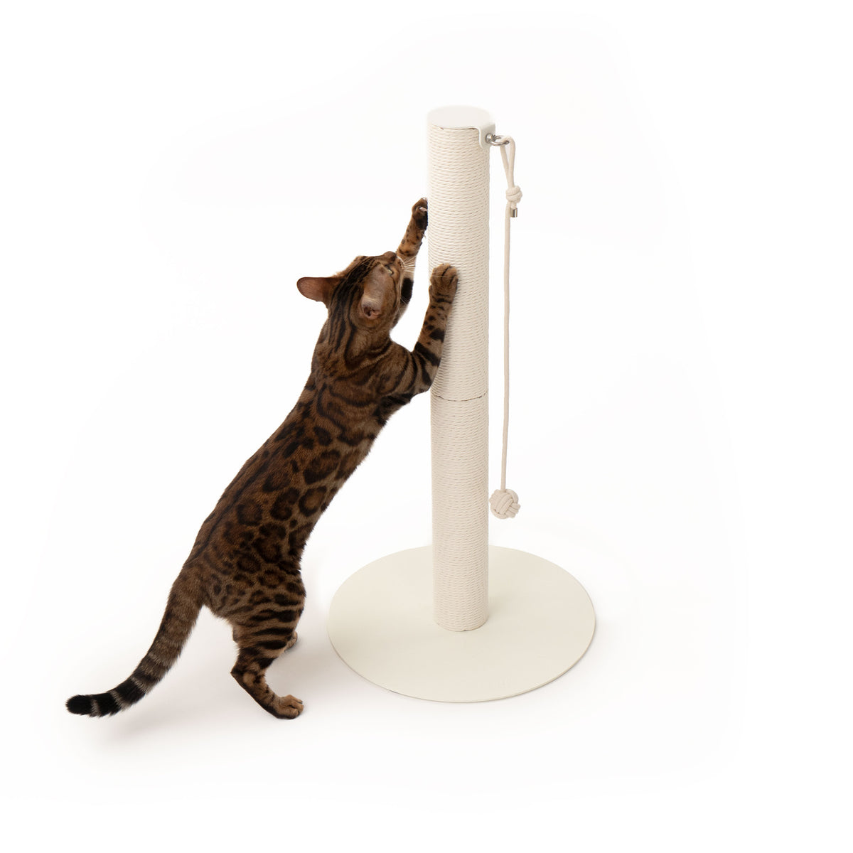 PAPERPOLE free-standing scratching post