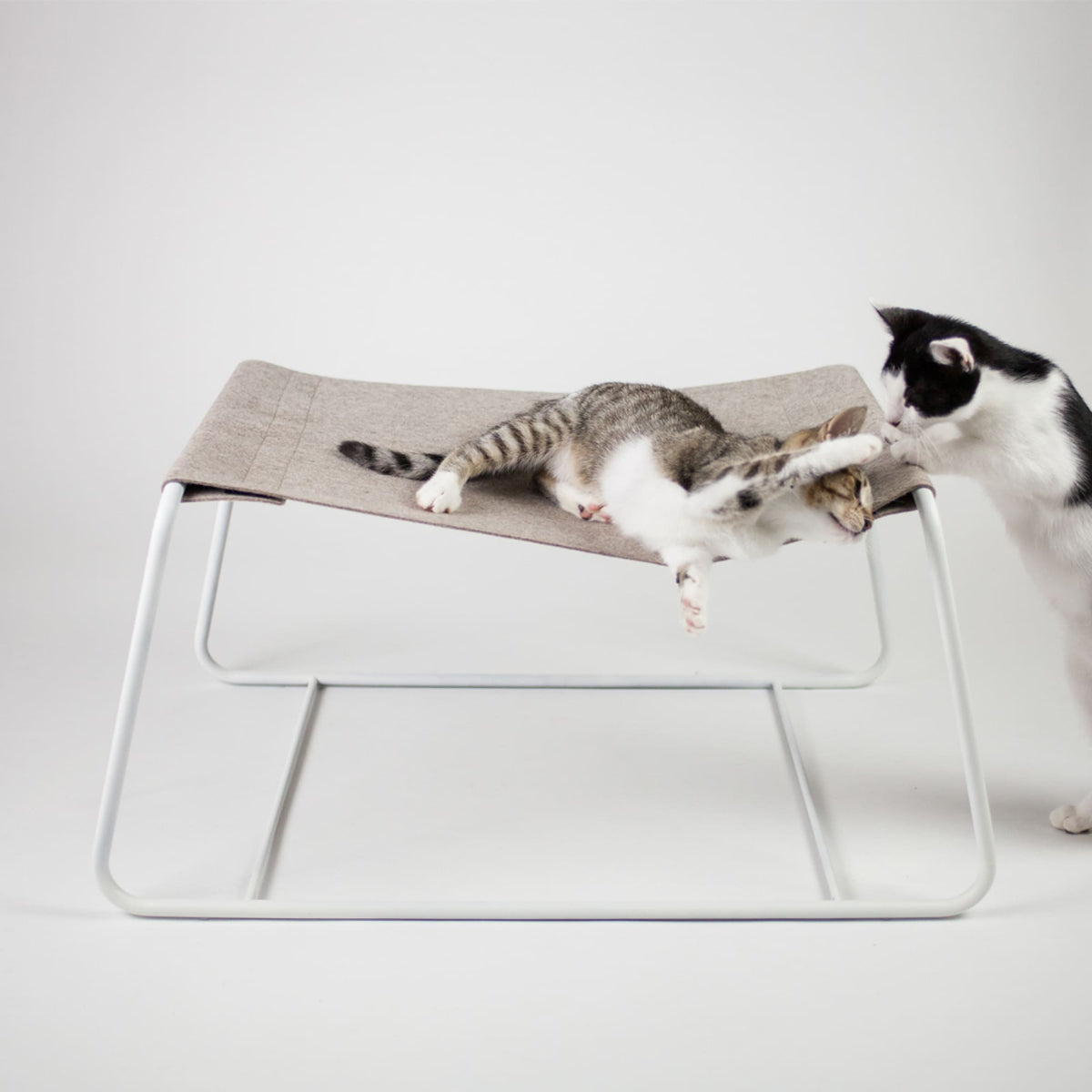 FLOAT cat hammock