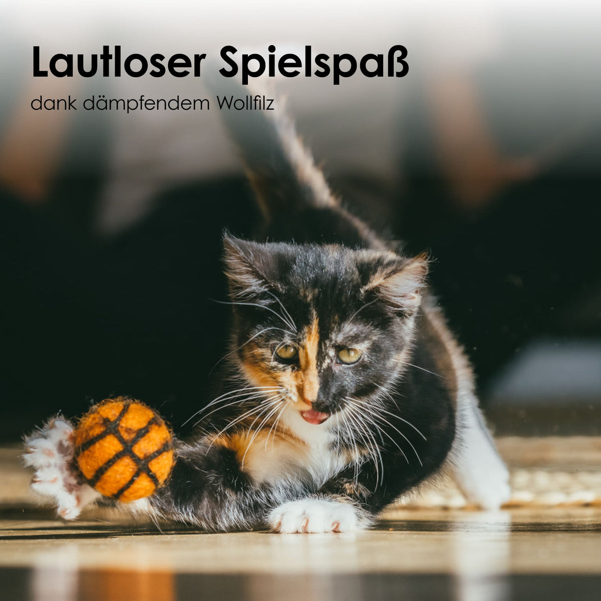 SUPER BALLS Jouet pour chat