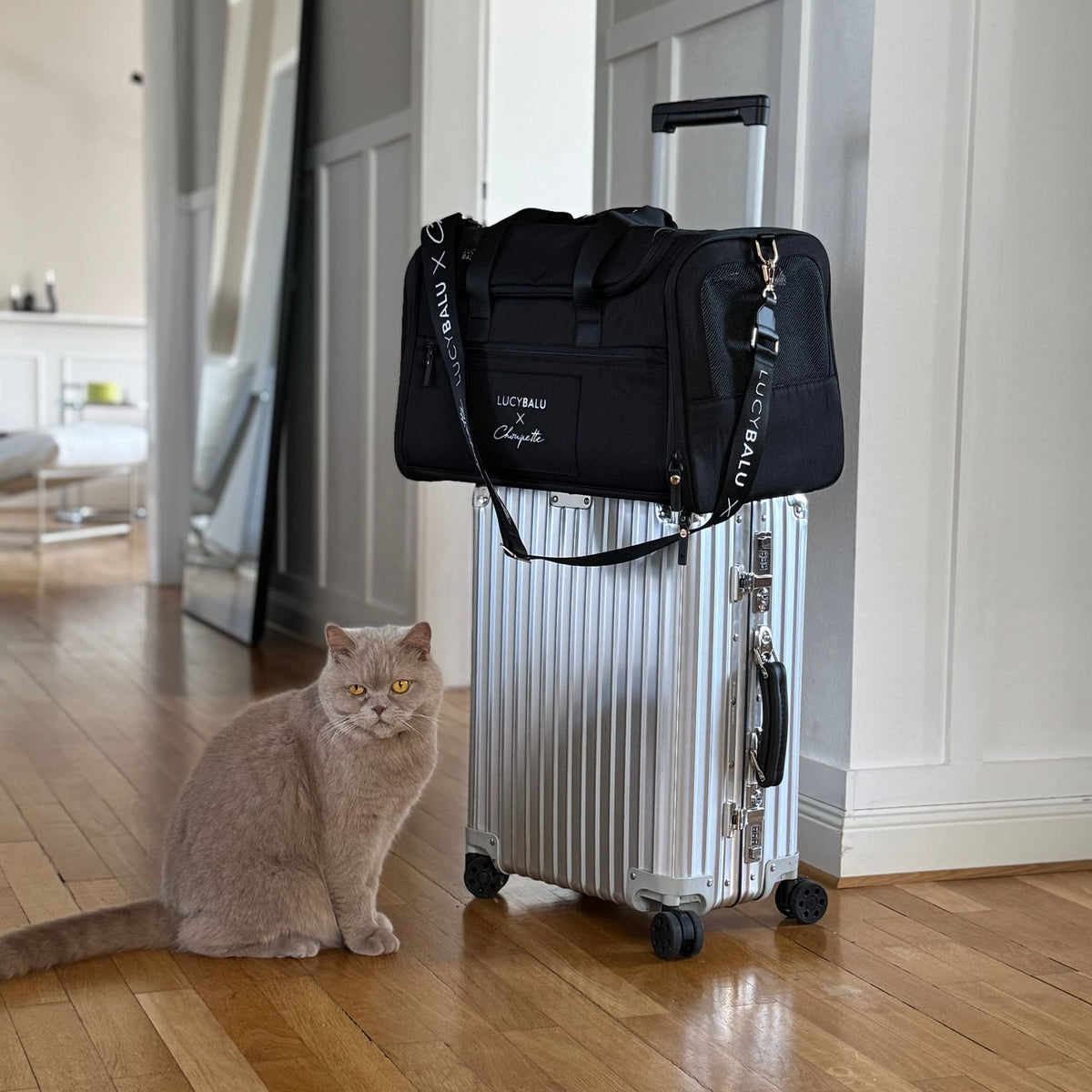 CHECK-IN Cat carrier bag