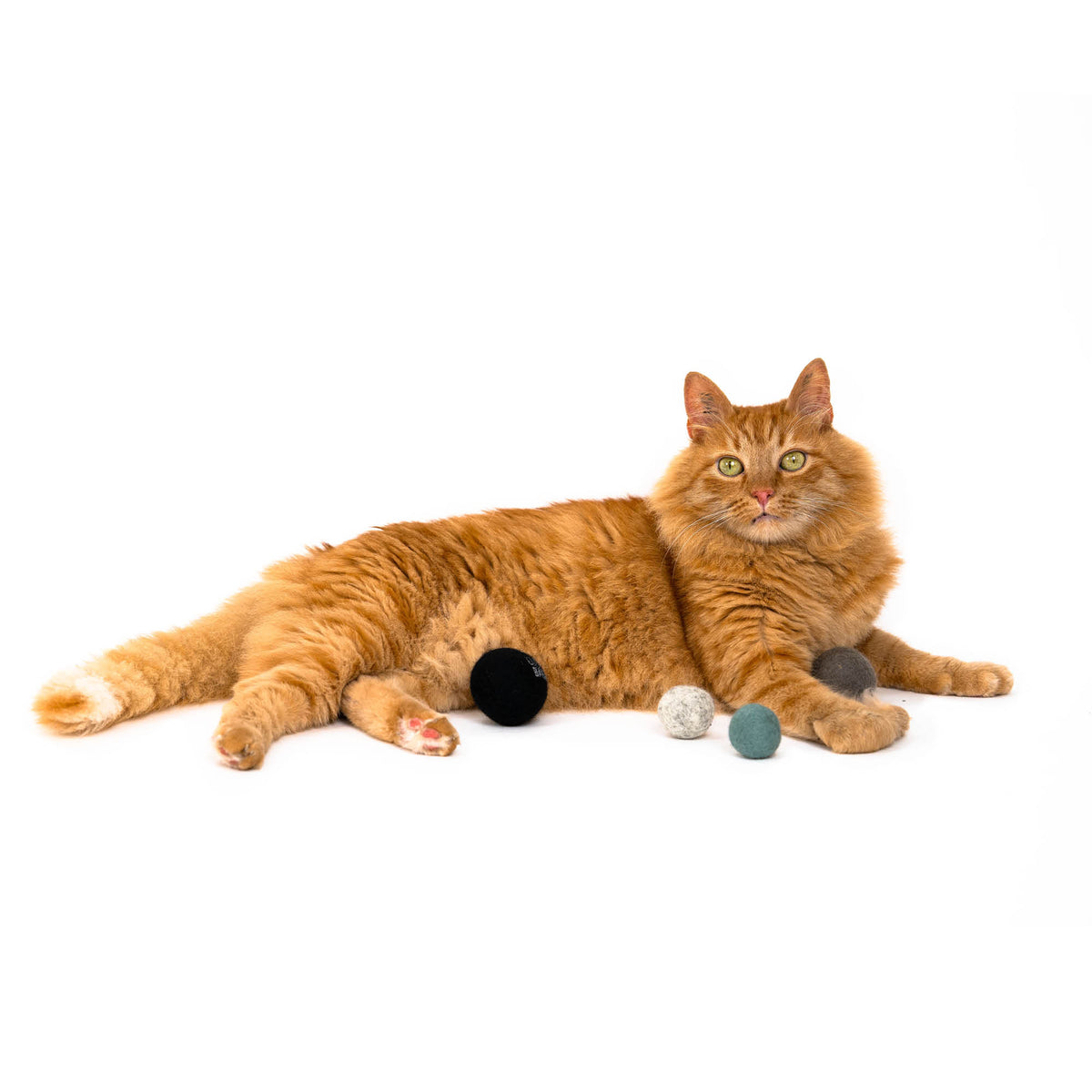 Katzenbälle aus Filz als Spielzeug