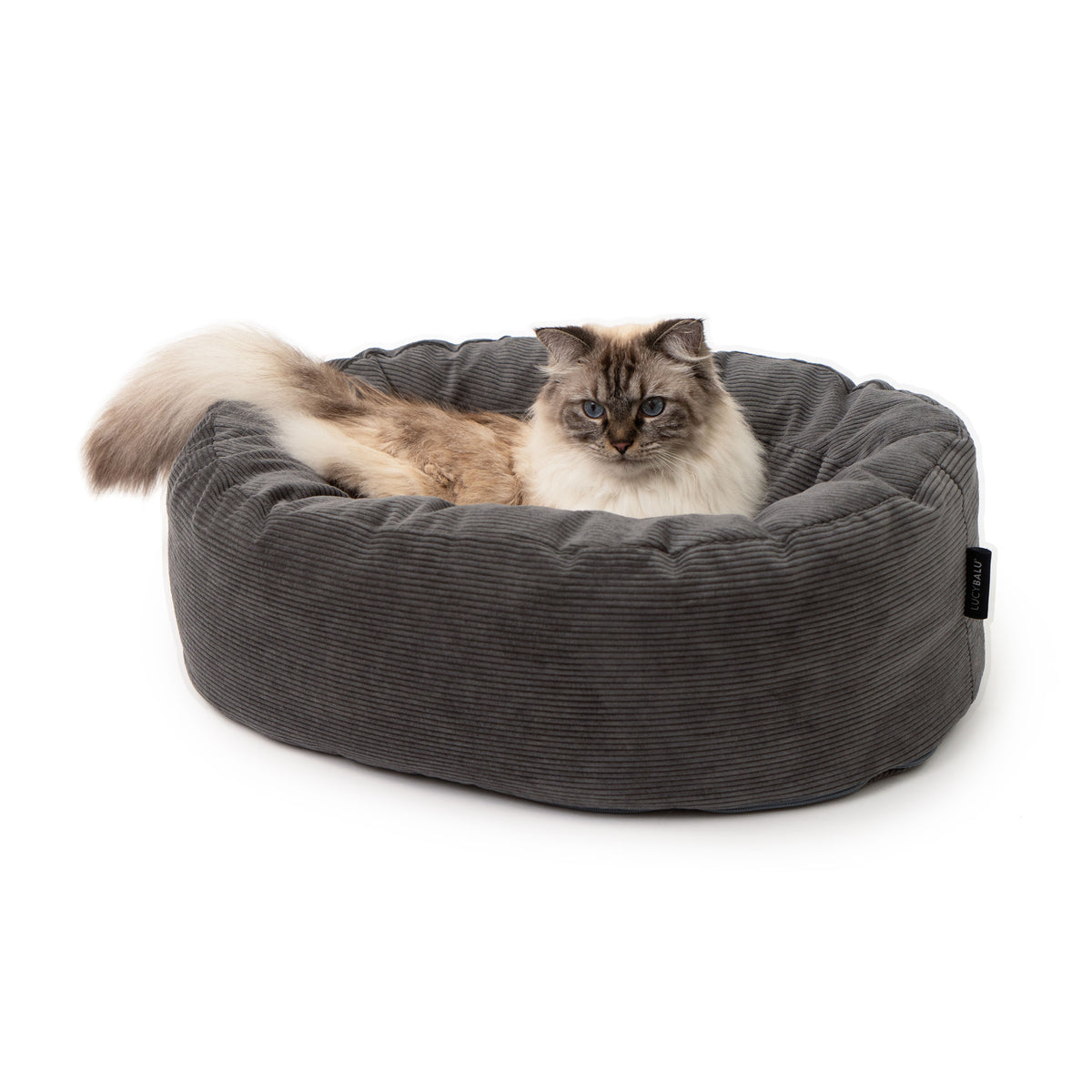 DINGHY cat bed