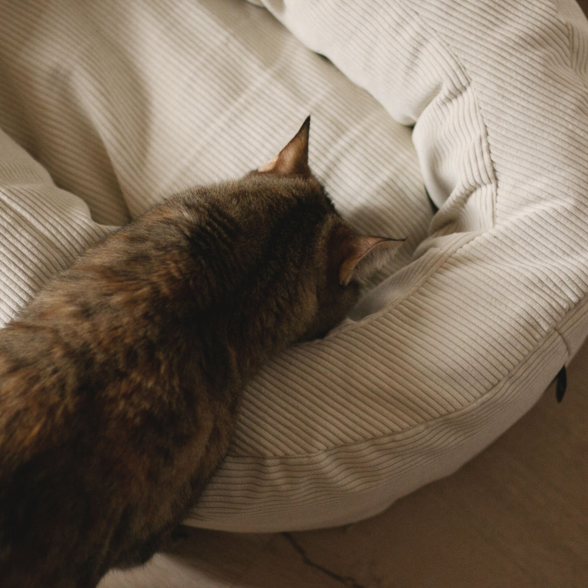 DINGHY cat bed