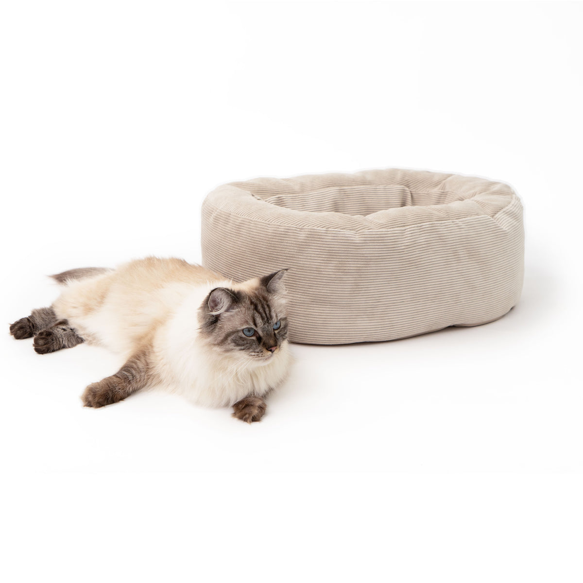 DINGHY cat bed