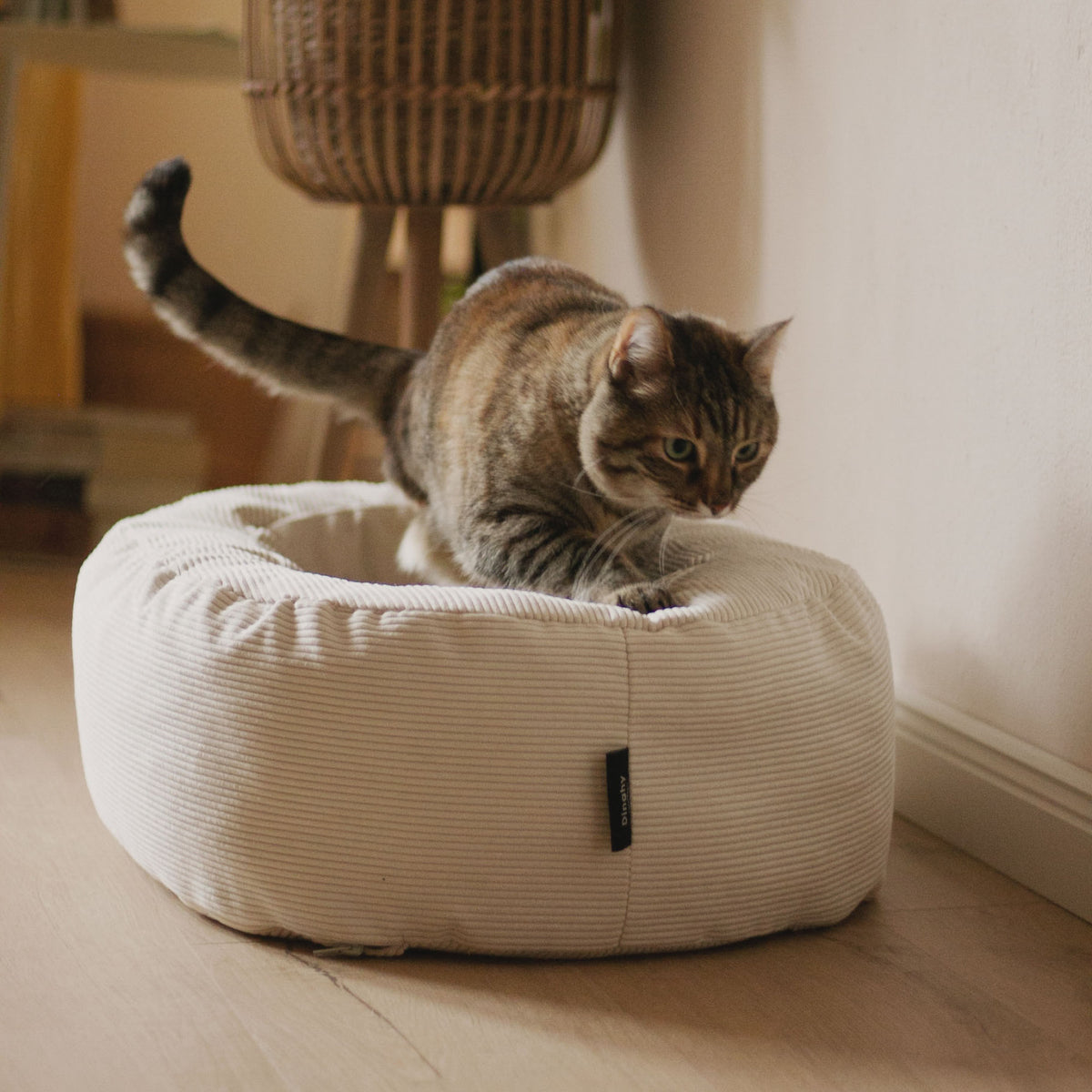 DINGHY cat bed