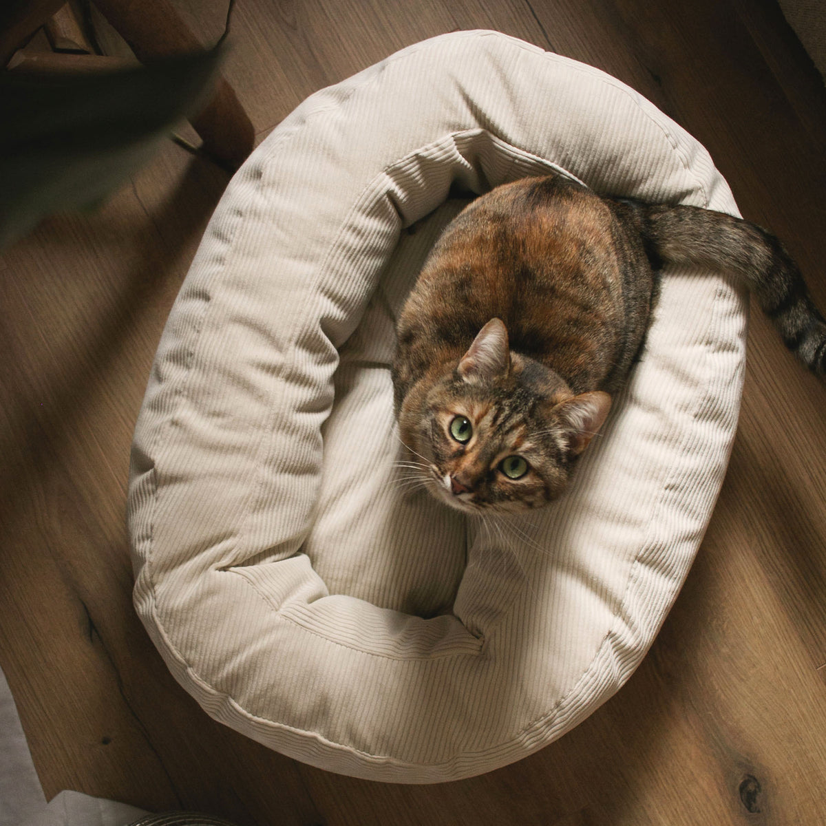 DINGHY cat bed