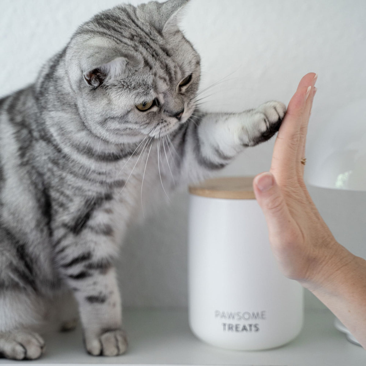 SNACK BAR Jar for treats