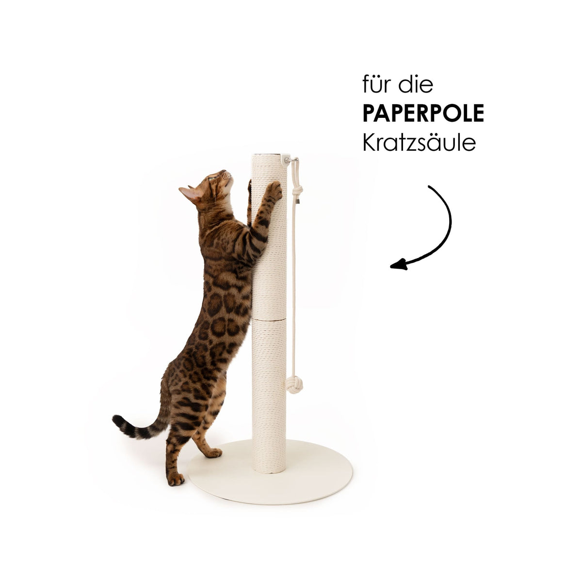 PAPERPOLE scratching post (replacement product)