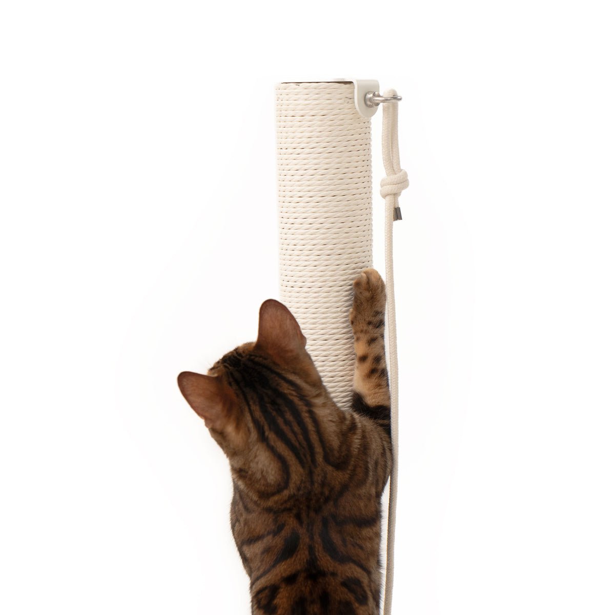 PAPERPOLE free-standing scratching post