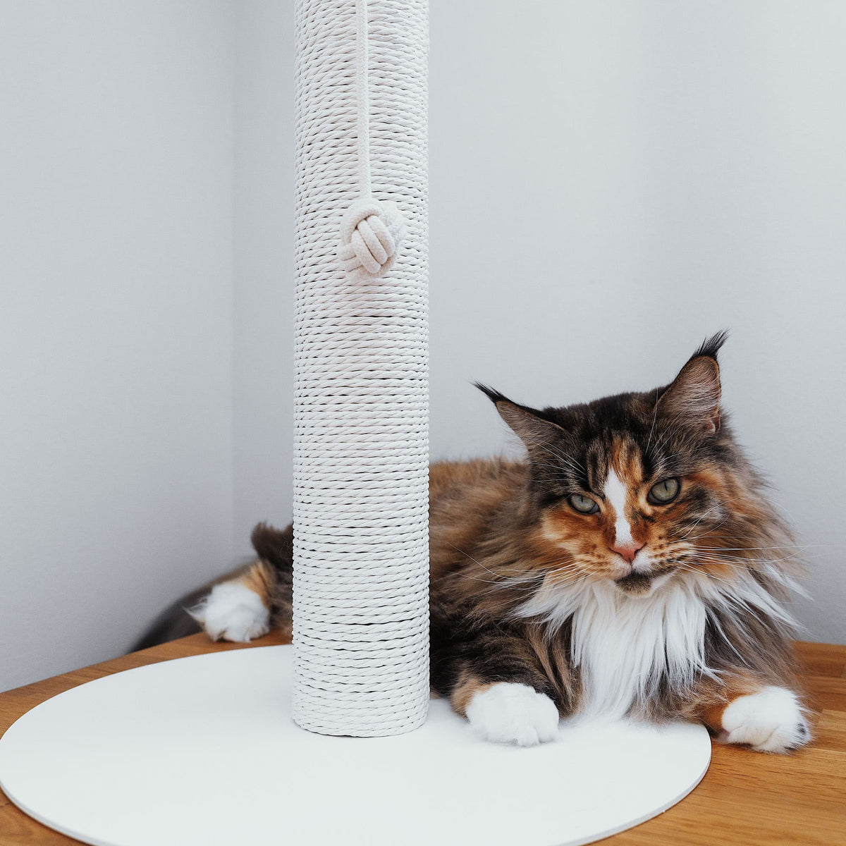 PAPERPOLE free-standing scratching post