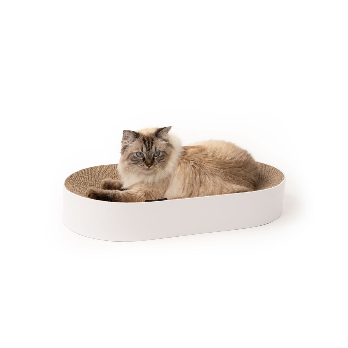 SCRATCHBED - Designer Cardboard Bed