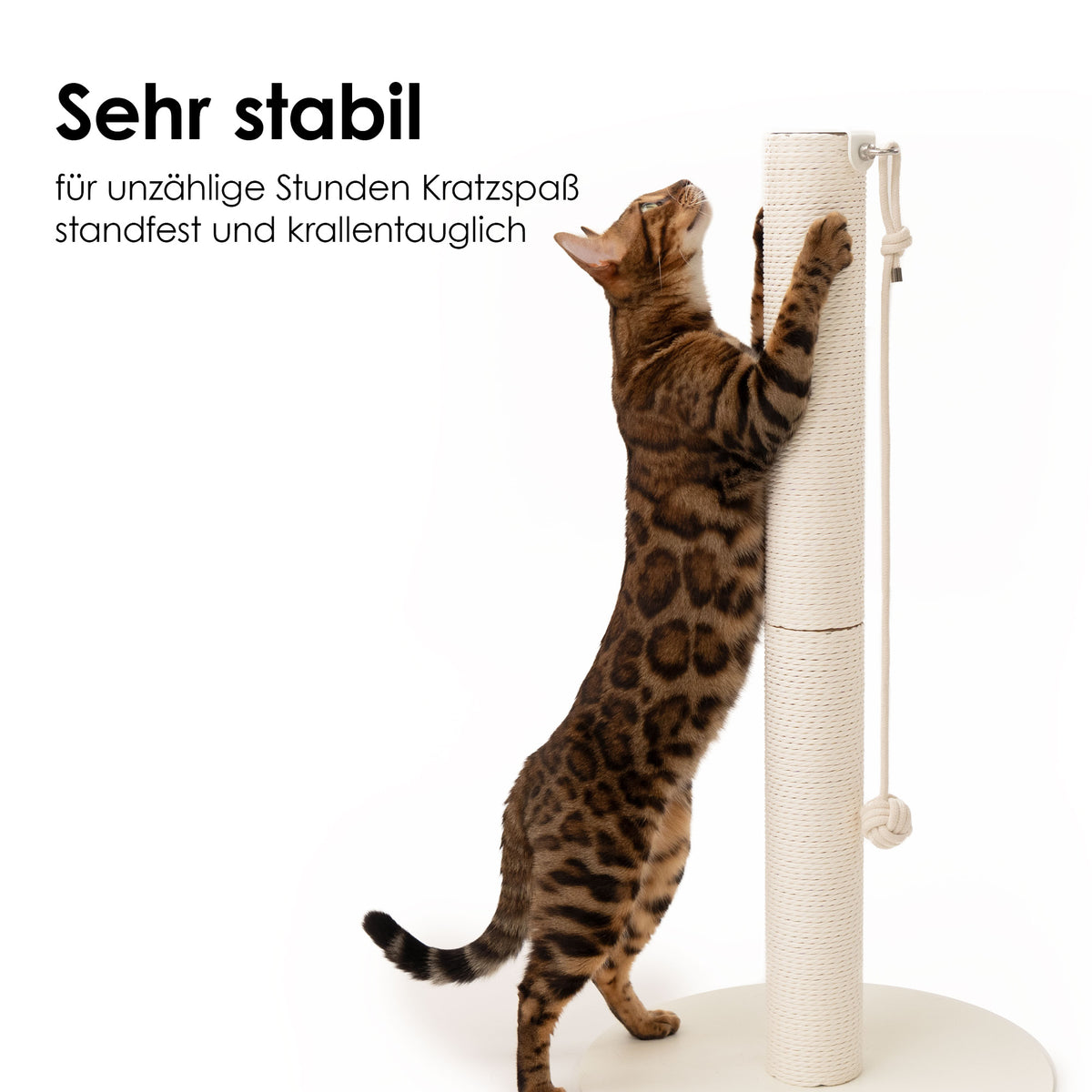 PAPERPOLE free-standing scratching post