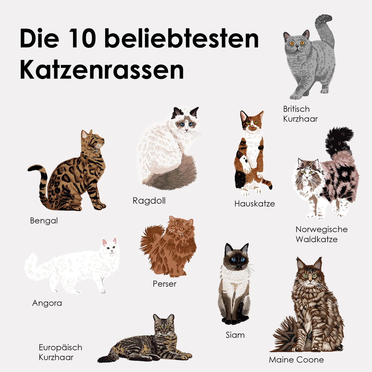 STICKY CATS vilten stickers