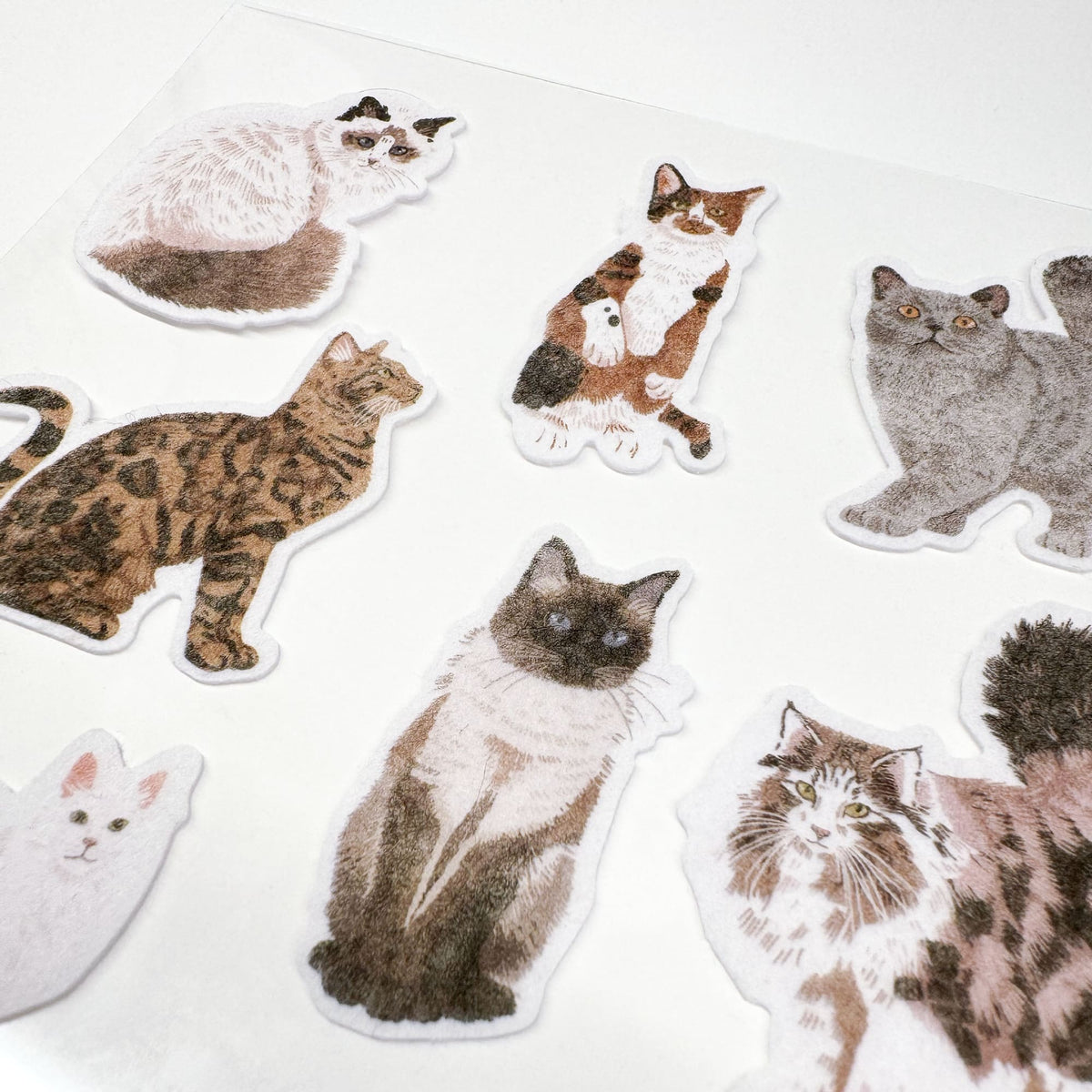 STICKY CATS Autocollants en feutre