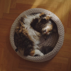 Nachhaltiges Katzenbett