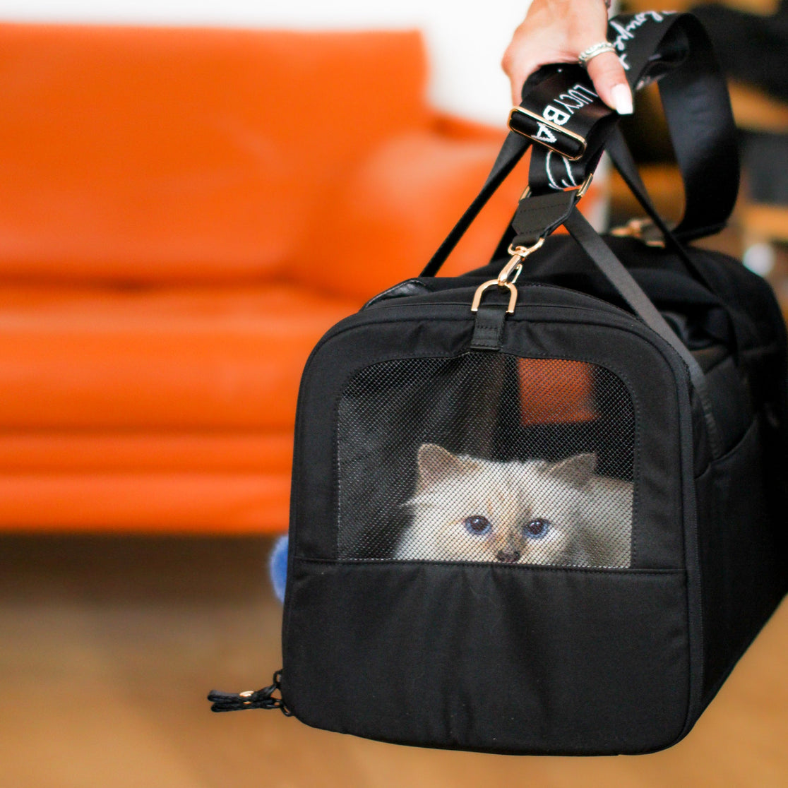 Choupette Lagerfeld in bag